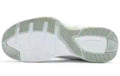 Jordan Feiyu White Purple