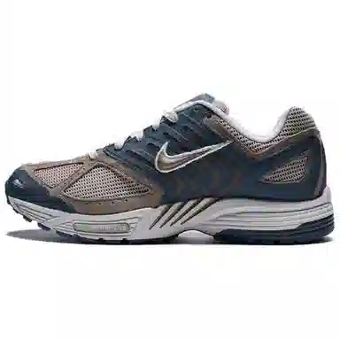 Nike Air Pegasus 2005