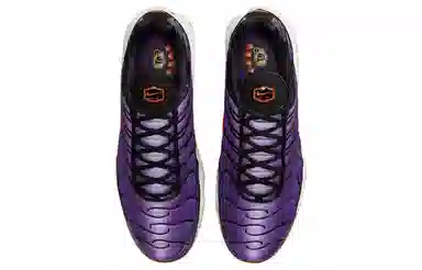 Nike Air Max Plus Purple Black