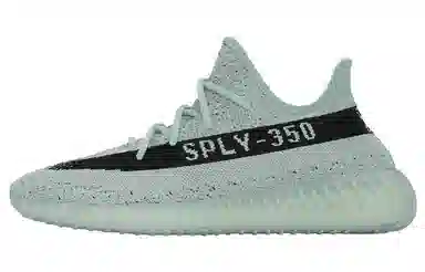 adidas Yeezy Boost 350 V2 Salt Core Black Salt