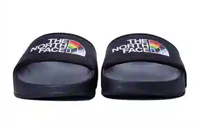 THE NORTH FACE LOGO