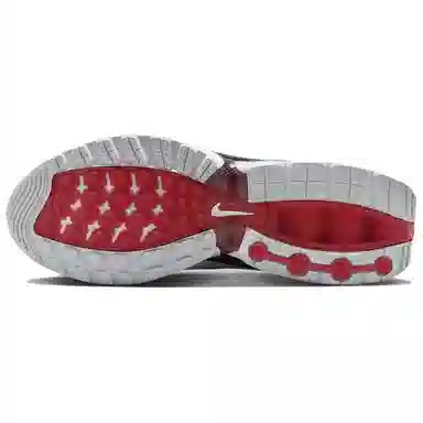 Nike Air Max Dn "Team USA"