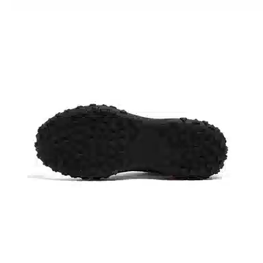 Camel Biscuit Trainer