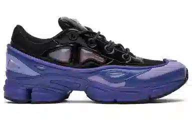 RAF SIMONS x adidas Ozweego Purple