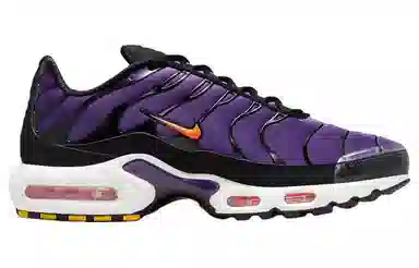 Nike Air Max Plus Purple Black