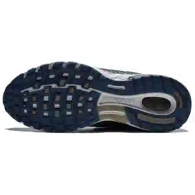 Nike Air Pegasus 2005