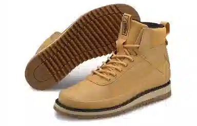 Puma Desierto v2 WTR Brown