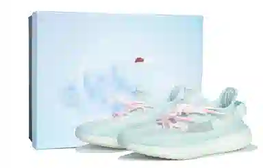 adidas originals Yeezy Boost 350 V2 SHOEME