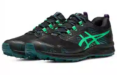 Asics GEL-FUJISETSU 3 GTX