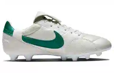 Nike Premier 3 White Green