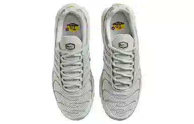 Nike Air Max Plus Grey