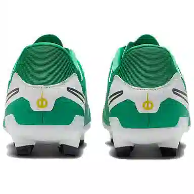 Nike Tiempo Legend 10 Academy Green