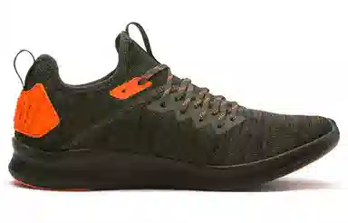 Puma Ignite Flash EvoKnit Unrest