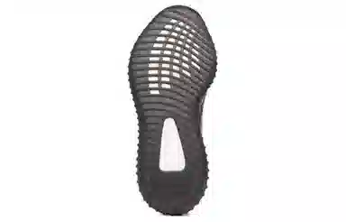 adidas Yeezy Boost 350 V2