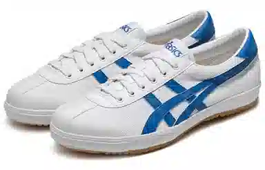 Asics TSG-110