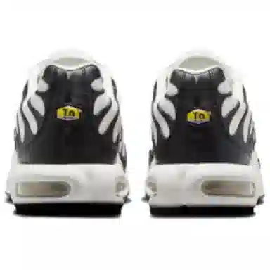 Nike Air Max Plus White Black