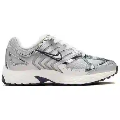 Nike Air Pegasus 2005 Chrome