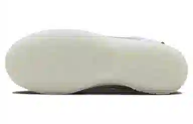 Nike Dunk Low "Hyperflat" Silver