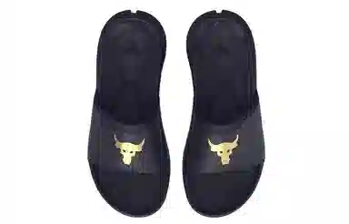 Under Armour Project Rock 3