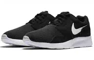 Nike Kaishi