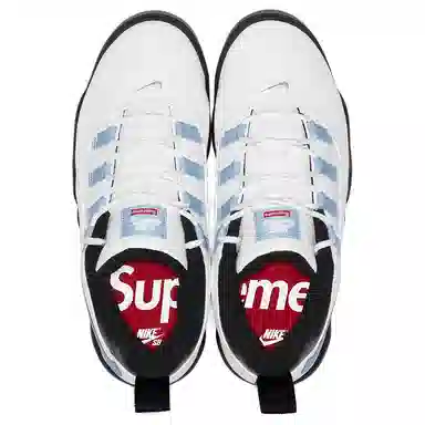 Supreme x Nike SB Darwin Low White