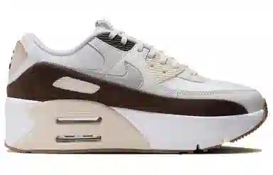 Nike Air Max 90 Brown