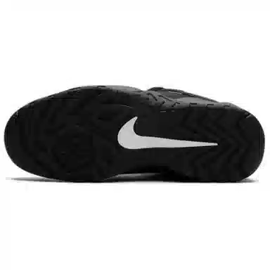 Supreme x Nike SB Darwin Low