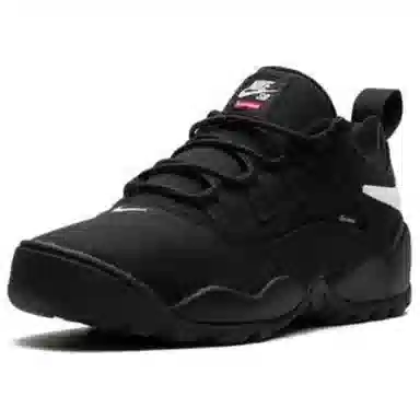 Supreme x Nike SB Darwin Low