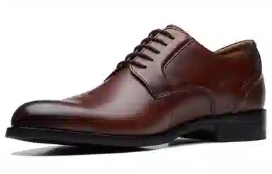 Clarks Brown Business Leather Shoes