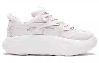 Champion Retro Sports