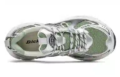 Dickies Retro Low-Top Sneakers Light Green Silver