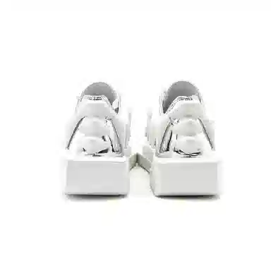 Ancient Fossil White Silver