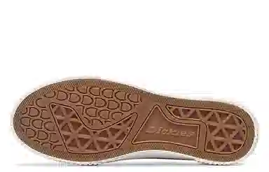 Dickies Canvas Low Black