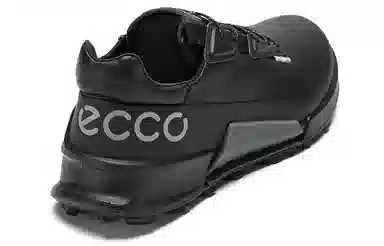 ecco 2.1