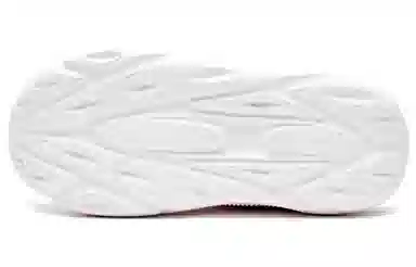 Champion Retro Sports