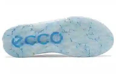 ecco GOLF BIOM H4