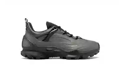 ecco Biom C Trail