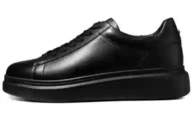 Thom Wills Black Warrior