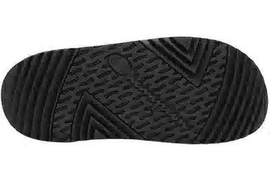 Champion Campus Slide 1919