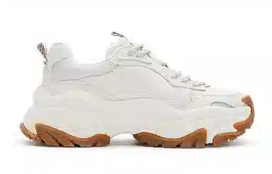 Champion Retro Sports