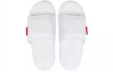 Champion Campus Slide 1919 C logo