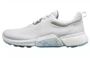 ecco GOLF BIOM H4