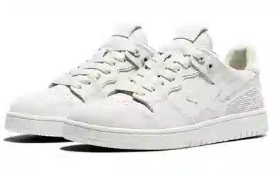 A BATHING APE SK8 STA "URBAN FALL"