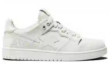 A BATHING APE SK8 STA "URBAN FALL"