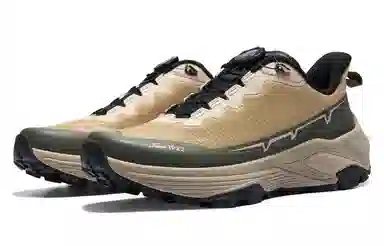 Dickies Low Top Running Shoes Brown Green