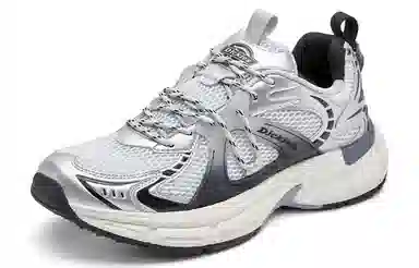 Dickies Retro Low Silver