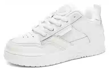 Dickies Low Top Sneakers White