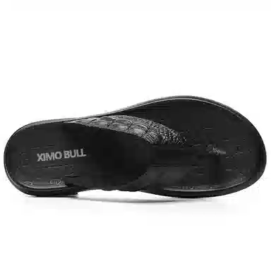XIMO BULL