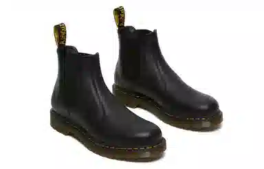 Dr. Martens Chelsea Boots Black