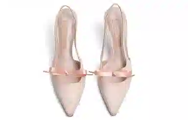 CHARLES&KEITH Satin Bow Pointed Toe Heels